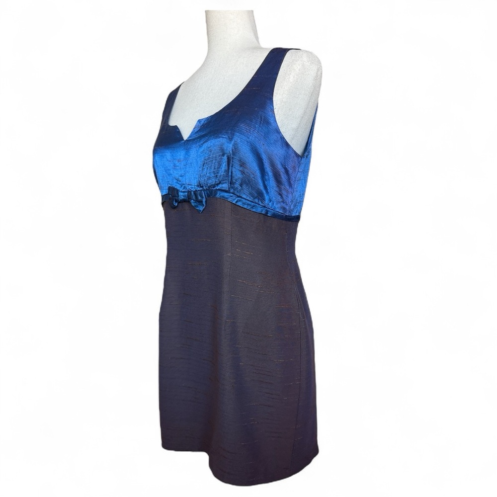Possessed Vintage Mini Dress